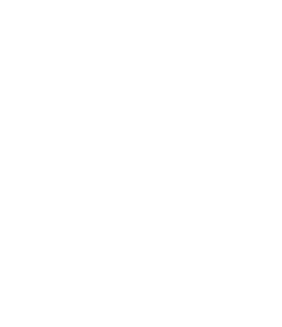 代表取締役 佐藤俊輔